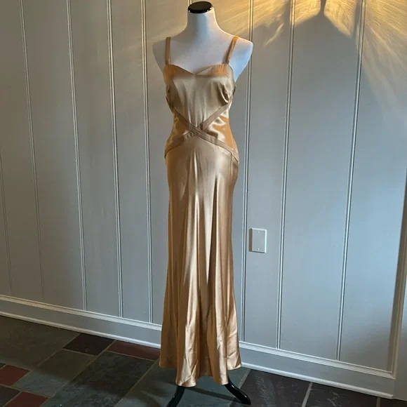 Gorgeous 100% Silk Long Gown size 6 - Picture 1 of 6